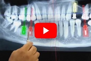 Стоматологический CHECK-UP